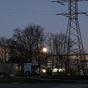 укр ембієнт