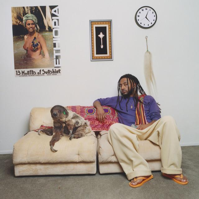 Aminé 13 Months of Sunshine