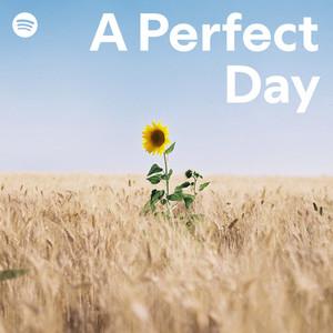 A Perfect Day