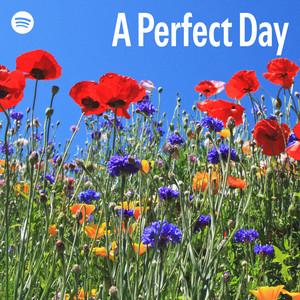 A Perfect Day
