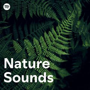 Nature Sounds