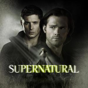 Supernatural Soundtrack [All Seasons]