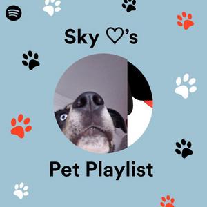 Sky ’s Pet Playlist