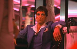 Push it to the limit 🌴💰💊 SCARFACE