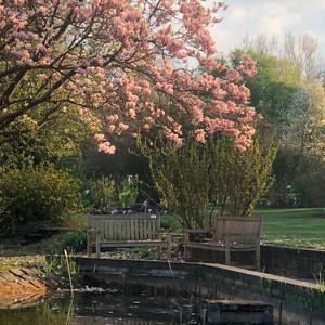this is what spring sounds like 