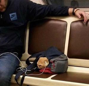 поспівати в душі